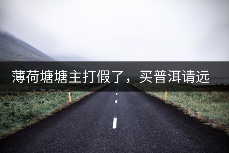 薄荷塘塘主打假了，買普洱請(qǐng)遠(yuǎn)離那些講故事的奸商