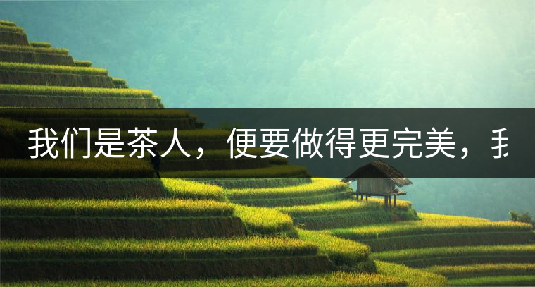 我們是茶人，便要做得更完美，我們是茶客，便要懂得沉默...我們是茶人，便要做得更完美，我們是茶客，便要懂得沉默！