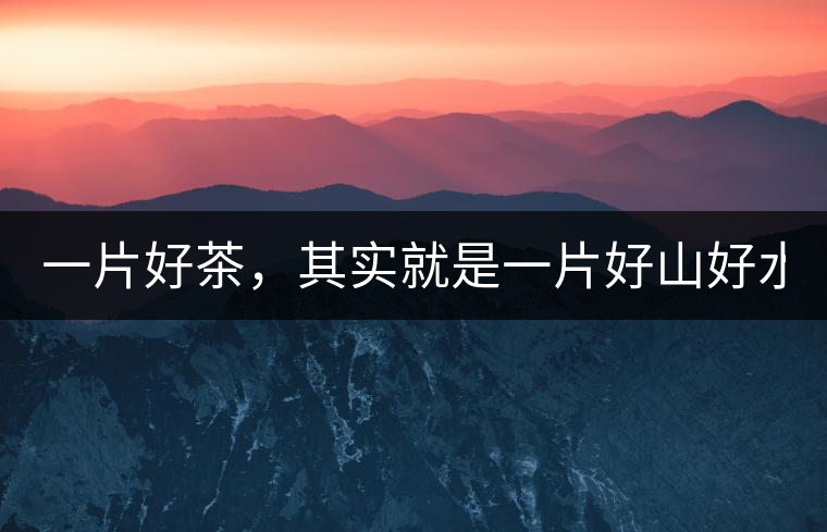 一片好茶，其實就是一片好山好水...一片好茶，其實就是一片好山好水...