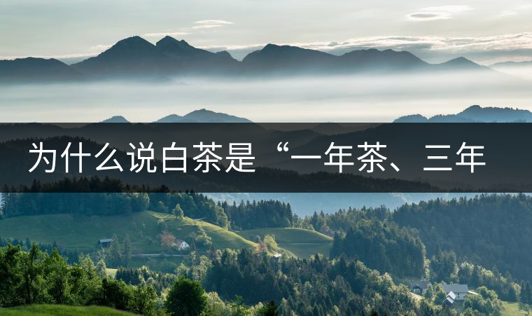 為什么說白茶是“一年茶、三年藥、七年寶”?為什么說白茶是“一年茶、三年藥、七年寶”？
