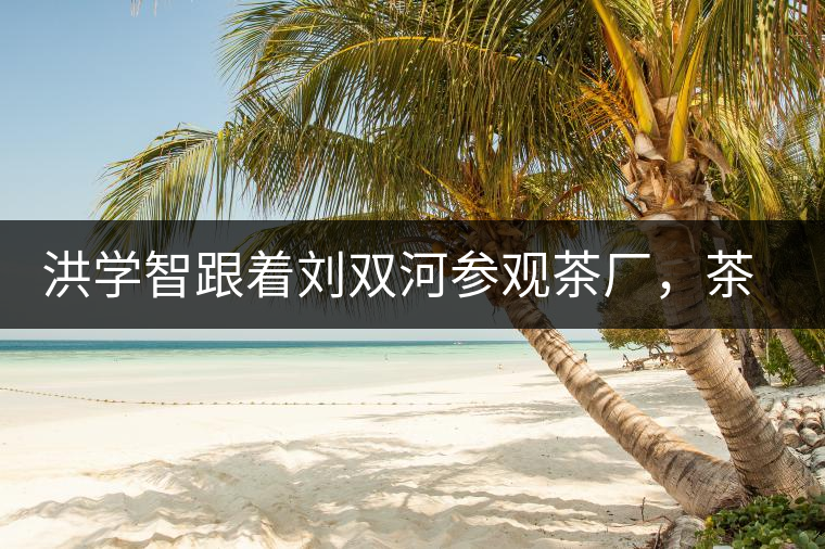 洪學(xué)智跟著劉雙河參觀茶廠，茶廠黃老板對(duì)賣苦力的百姓百般欺凌