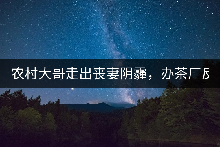 農(nóng)村大哥走出喪妻陰霾，辦茶廠反哺鄉(xiāng)鄰，每天處理鮮葉4000斤
