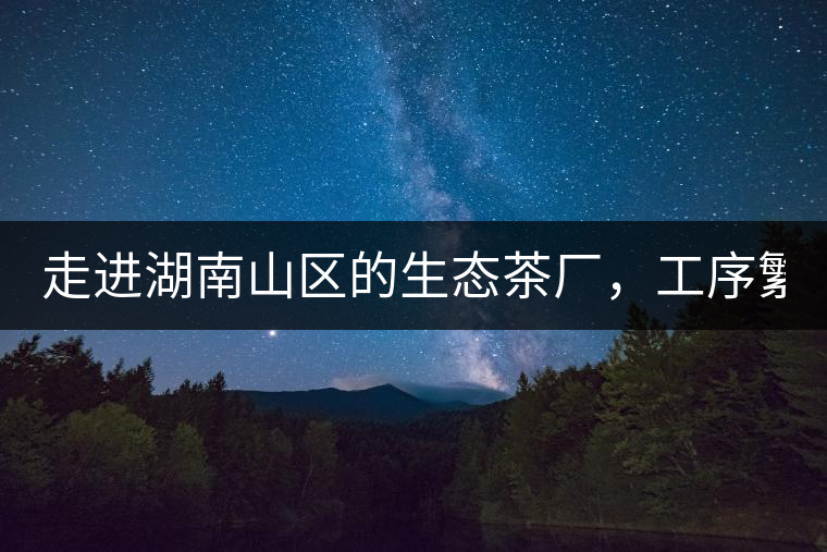 走進(jìn)湖南山區(qū)的生態(tài)茶廠，工序繁雜精細(xì)，538塊錢1斤真值走進(jìn)湖南山區(qū)的生態(tài)茶廠，工序繁雜精細(xì)，538塊錢1斤真值