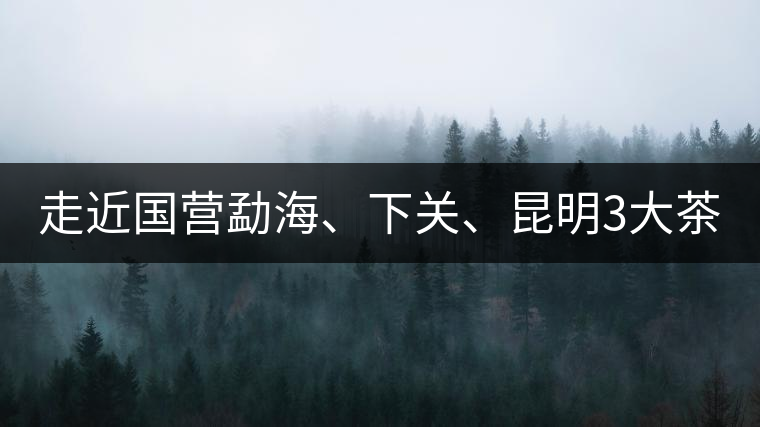 走近國(guó)營(yíng)勐海、下關(guān)、昆明3大茶廠，傳世代表作的發(fā)展詳...走近國(guó)營(yíng)勐海、下關(guān)、昆明3大茶廠，傳世代表作的發(fā)展詳解