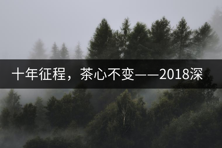 十年征程，茶心不變——2018深圳秋季茶博會12月13日隆重開幕！