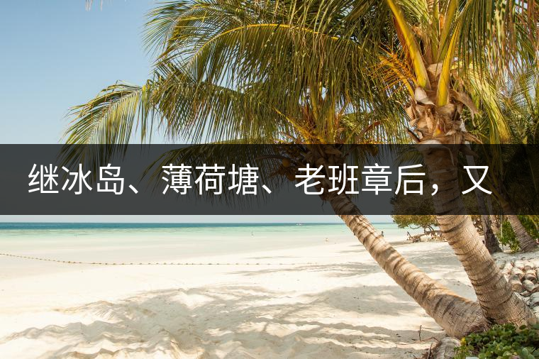 繼冰島、薄荷塘、老班章后，又一個(gè)被追捧的山頭茶火了！