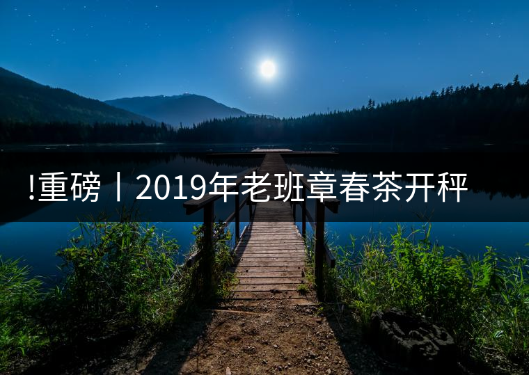 !重磅丨2019年老班章春茶開秤，一筆定價(jià)？如此出人意料！