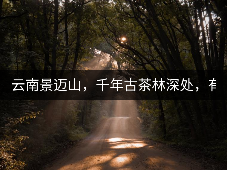 云南景邁山，千年古茶林深處，有一座世外桃源般的糯...云南景邁山，千年古茶林深處，有一座世外桃源般的糯干古寨