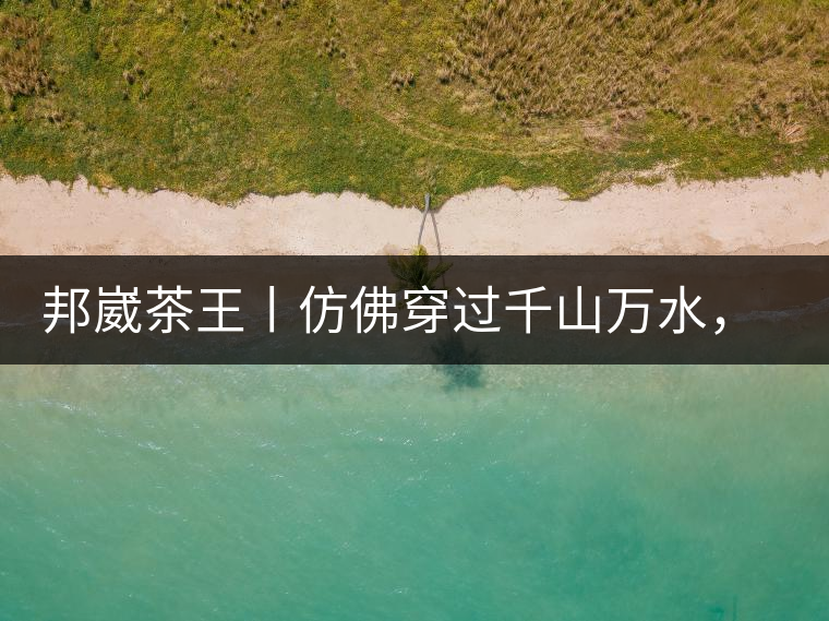 邦崴茶王丨仿佛穿過(guò)千山萬(wàn)水，就是為了它而來(lái)邦崴茶王丨仿佛穿過(guò)千山萬(wàn)水，就是為了它而來(lái)