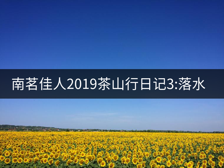 南茗佳人2019茶山行日記3:落水洞--200多年建村歷史，...南茗佳人2019茶山行日記3：落水洞——200多年建村歷史，靈動清越