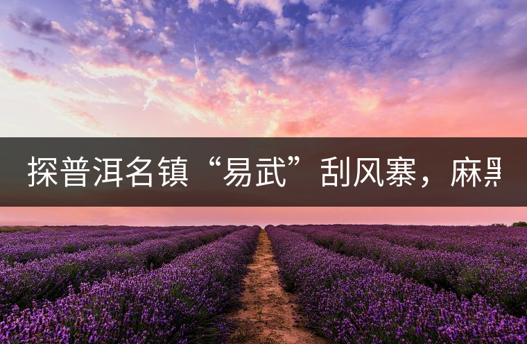 探普洱名鎮(zhèn)“易武”刮風(fēng)寨，麻黑，落水洞!小編親自下...探普洱名鎮(zhèn)“易武”刮風(fēng)寨，麻黑，落水洞！小編親自下手“殺青”