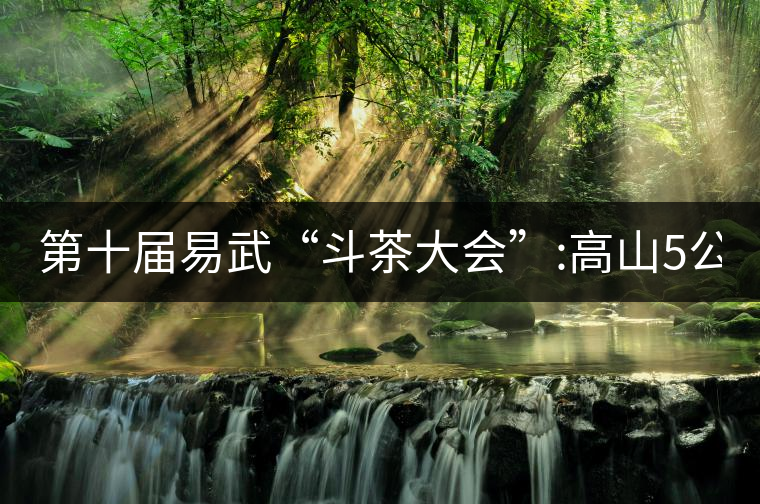 第十屆易武“斗茶大會”:高山5公斤15萬，刮風(fēng)寨5公斤...第十屆易武“斗茶大會”：高山5公斤15萬，刮風(fēng)寨5公斤30萬...