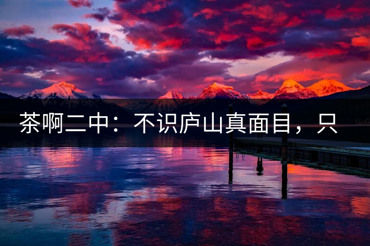 茶啊二中：不識廬山真面目，只識彎弓射大雕，賈淳真搞笑