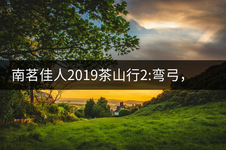 南茗佳人2019茶山行2:彎弓，一路艱辛，只為這有生命...南茗佳人2019茶山行2：彎弓，一路艱辛，只為這有生命厚度的茶！
