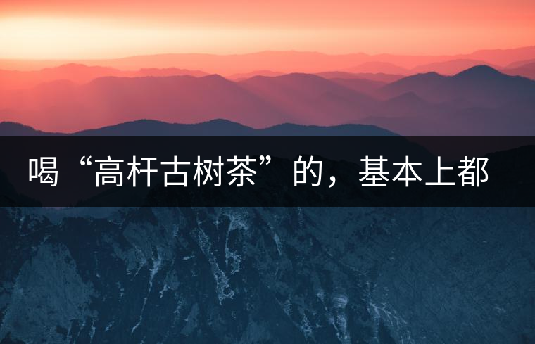喝“高桿古樹茶”的，基本上都是不懂茶的