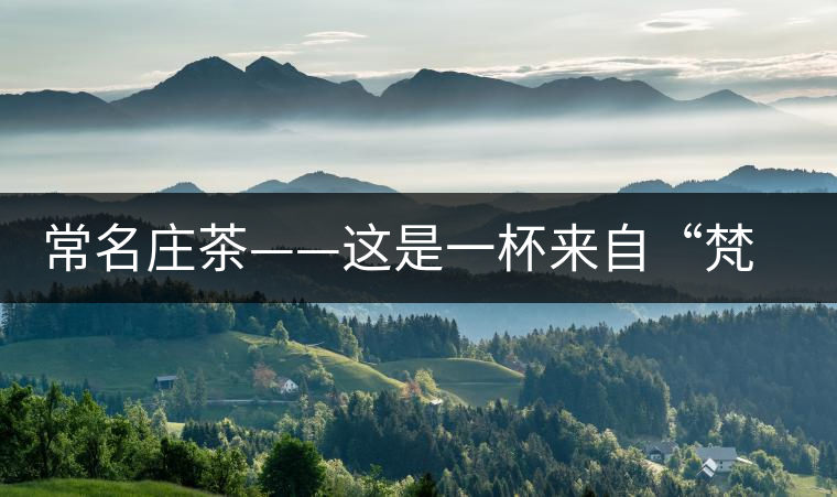 常名莊茶——這是一杯來自“梵天凈土”的茶