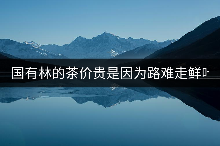 國有林的茶價(jià)貴是因?yàn)槁冯y走鮮葉難采?不怕，現(xiàn)在有它了...國有林的茶價(jià)貴是因?yàn)槁冯y走鮮葉難采？不怕，現(xiàn)在有它了！
