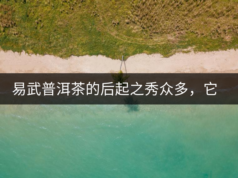 易武普洱茶的后起之秀眾多，它是還沒漲價(jià)的一個(gè)！