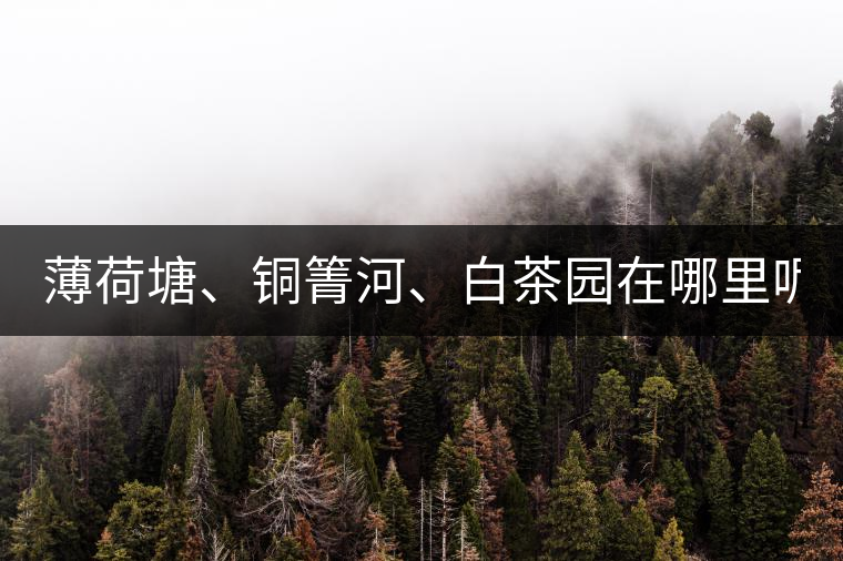 薄荷塘、銅箐河、白茶園在哪里呢?薄荷塘、銅箐河、白茶園在哪里呢？