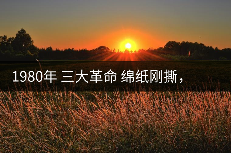 1980年 三大革命 綿紙剛撕，品相極好，整體干凈漂亮1980年 三大革命 綿紙剛撕，品相極好，整體干凈漂亮