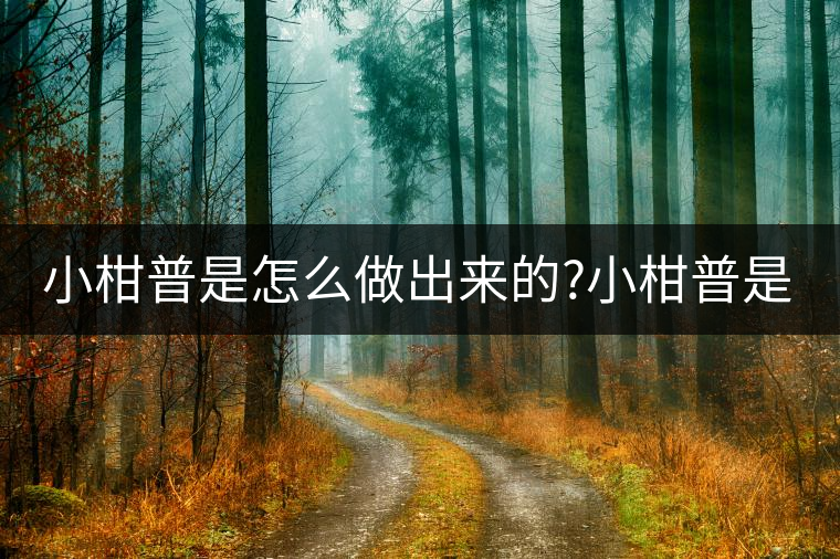 小柑普是怎么做出來的?小柑普是怎么做出來的？