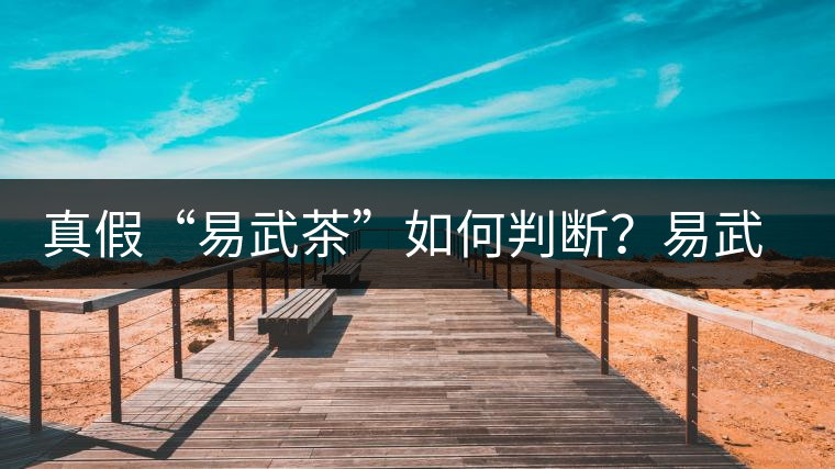 真假“易武茶”如何判斷？易武普洱茶有哪些特點？
