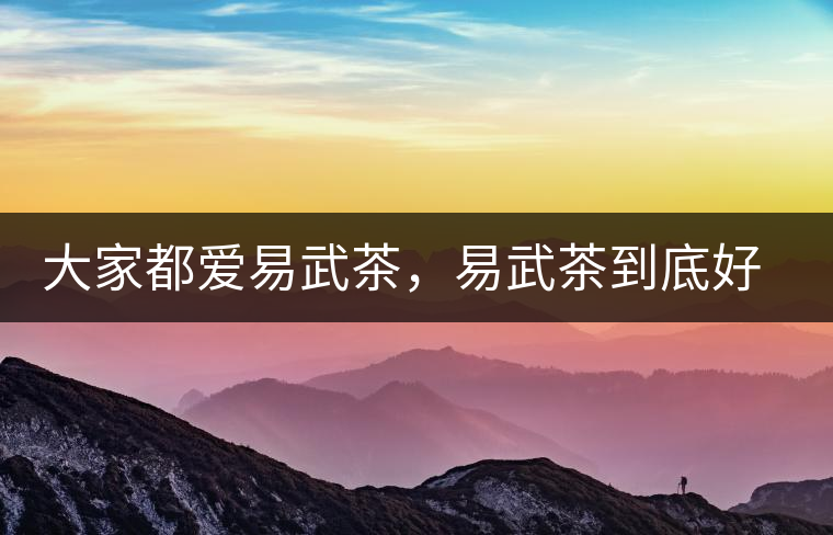 大家都愛易武茶，易武茶到底好在哪兒?大家都愛易武茶，易武茶到底好在哪兒？