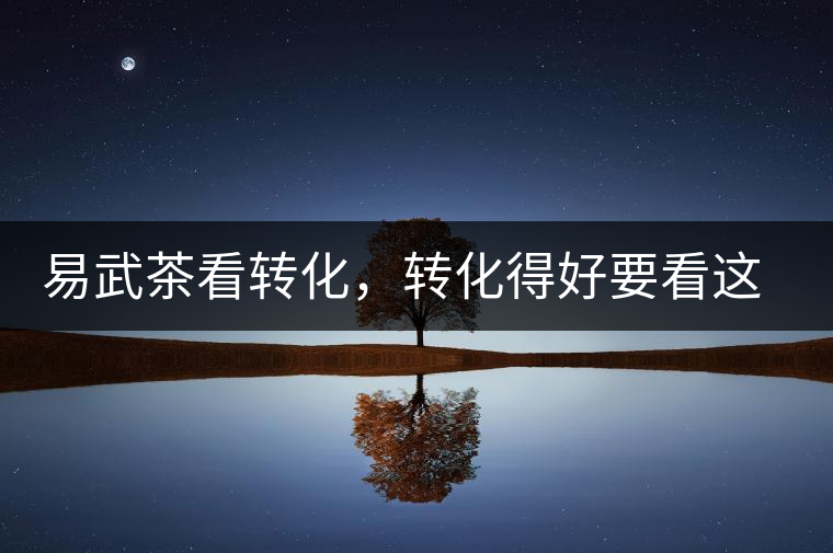 易武茶看轉(zhuǎn)化，轉(zhuǎn)化得好要看這三要素及品牌優(yōu)勢(shì)！