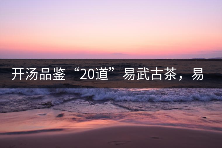 開湯品鑒“20道”易武古茶，易武茶特征你知道多少？