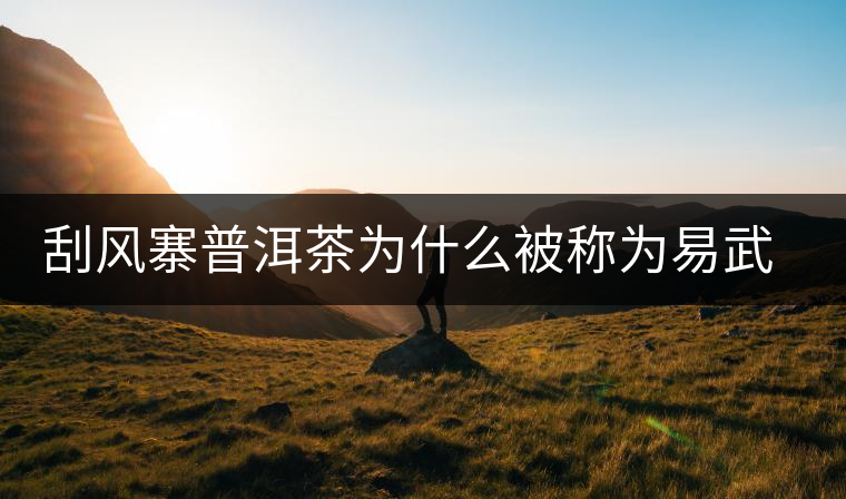 刮風(fēng)寨普洱茶為什么被稱為易武茶王？