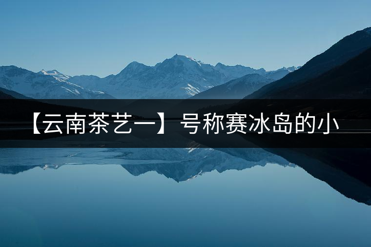【云南茶藝一】號(hào)稱賽冰島的小戶賽憑什么！今天帶大家一起研究下