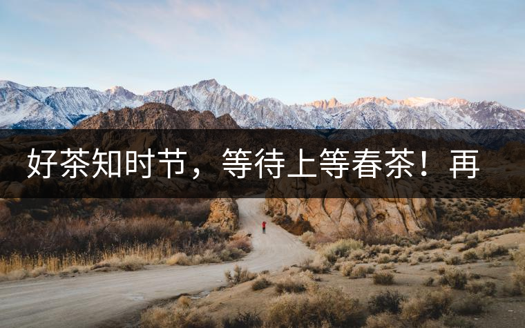 好茶知時節(jié)，等待上等春茶！再來回味這些年喝過的小戶賽古樹春茶