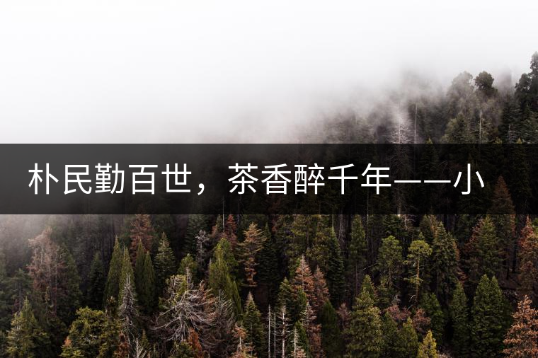 樸民勤百世，茶香醉千年——小戶賽古寨