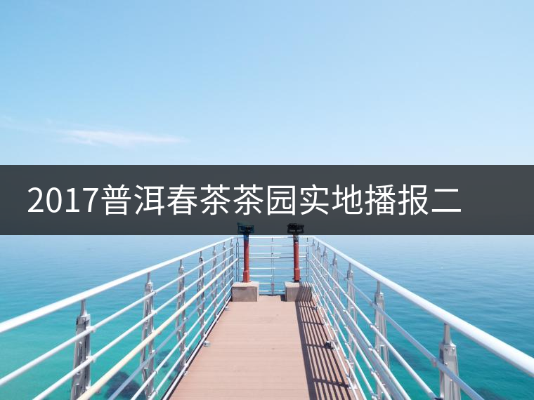 2017普洱春茶茶園實(shí)地播報(bào)二——臨倉勐庫鎮(zhèn)小戶賽 2017普洱春茶茶園實(shí)地播報(bào)二——臨倉勐庫鎮(zhèn)小戶賽