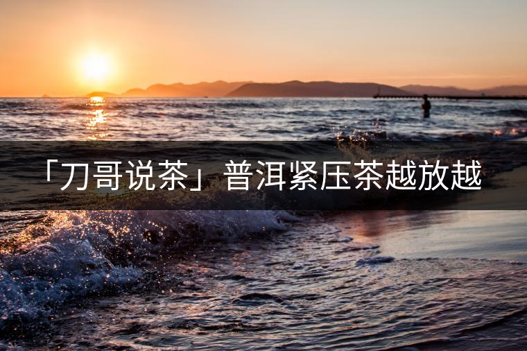 「刀哥說茶」普洱緊壓茶越放越膨脹還是越收縮？