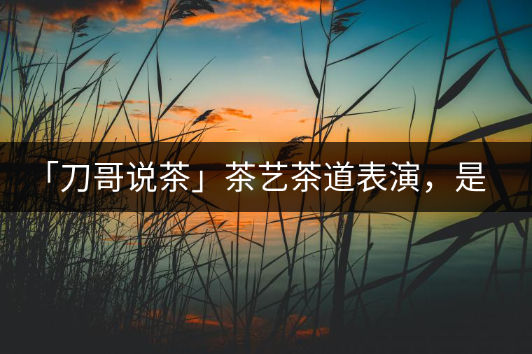 「刀哥說茶」茶藝茶道表演，是裝還是文化？