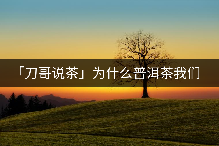 「刀哥說茶」為什么普洱茶我們情愿選三無？