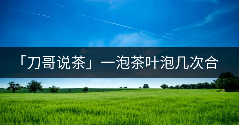 「刀哥說茶」一泡茶葉泡幾次合適?「刀哥說茶」一泡茶葉泡幾次合適？