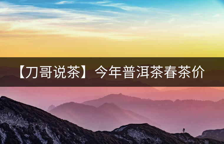 【刀哥說(shuō)茶】今年普洱茶春茶價(jià)格，我不預(yù)測(cè)