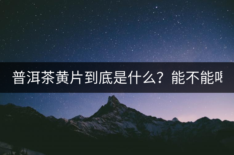 普洱茶黃片到底是什么？能不能喝？