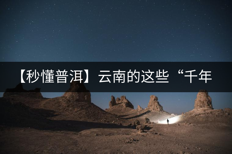 【秒懂普洱】云南的這些“千年茶樹王”,你都知道嗎?