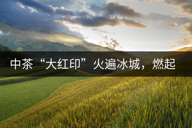 中茶“大紅印”火遍冰城，燃起普洱茶新味蕾