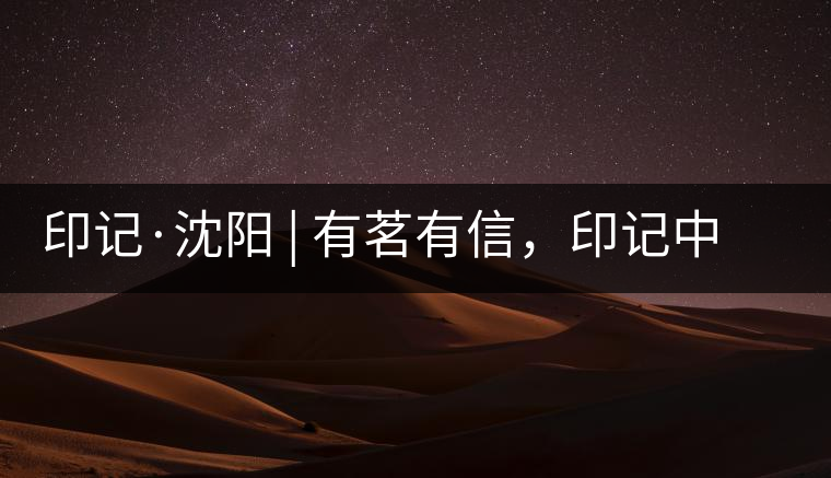 印記·沈陽(yáng) | 有茗有信，印記中茶，中茶普洱亮相沈陽(yáng)茶博會(huì)