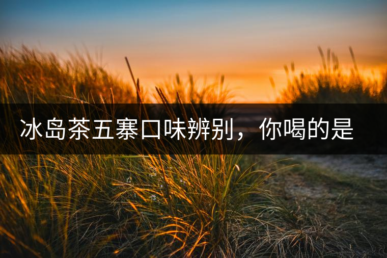 冰島茶五寨口味辨別，你喝的是正宗冰島茶嗎?冰島茶五寨口味辨別，你喝的是正宗冰島茶嗎？