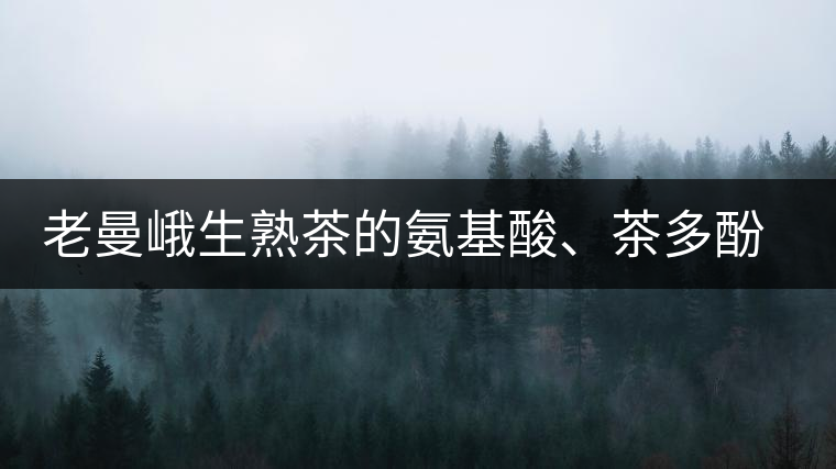 老曼峨生熟茶的氨基酸、茶多酚、酚氨比分析