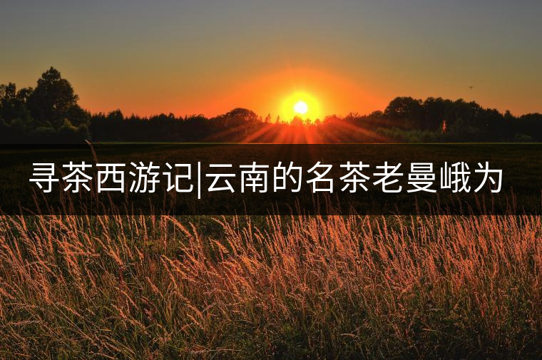 尋茶西游記|云南的名茶老曼峨為什么這么多人愛，這里...尋茶西游記｜云南的名茶老曼峨為什么這么多人愛，這里給你答案！