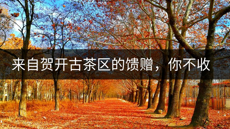 來自賀開古茶區(qū)的饋贈(zèng)，你不收一波嗎?來自賀開古茶區(qū)的饋贈(zèng)，你不收一波嗎？