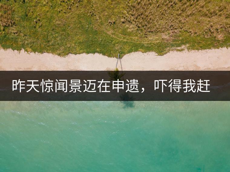 昨天驚聞景邁在申遺，嚇得我趕緊拿出景邁茶……昨天驚聞景邁在申遺，嚇得我趕緊拿出景邁茶……