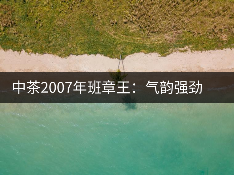 中茶2007年班章王：氣韻強(qiáng)勁，蜂蜜水般甜潤(rùn)，一直被老茶客撿漏