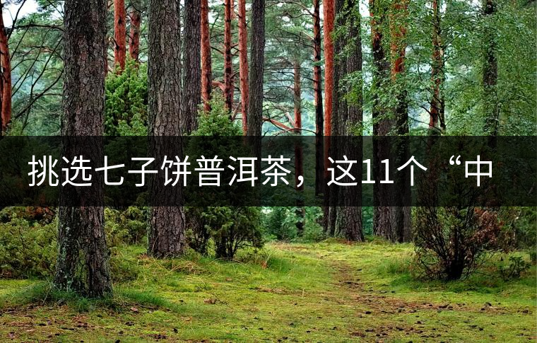 挑選七子餅普洱茶，這11個(gè)“中茶”標(biāo)志千萬(wàn)別弄混!挑選七子餅普洱茶，這11個(gè)“中茶”標(biāo)志千萬(wàn)別弄混！